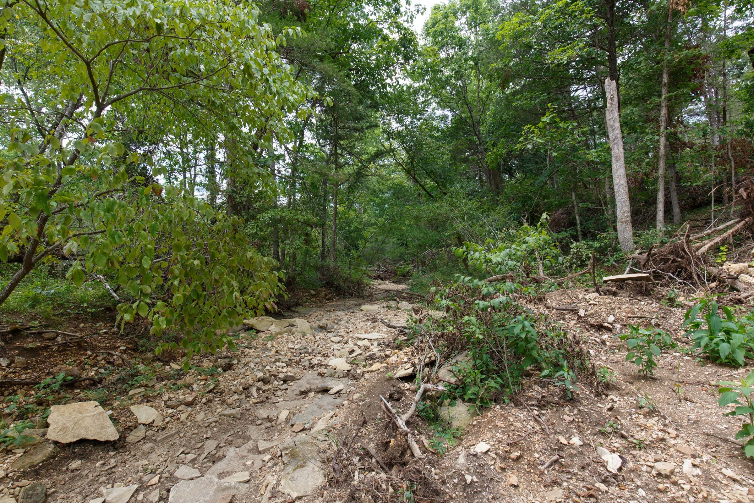 Wildwood Tract 14 photo 2