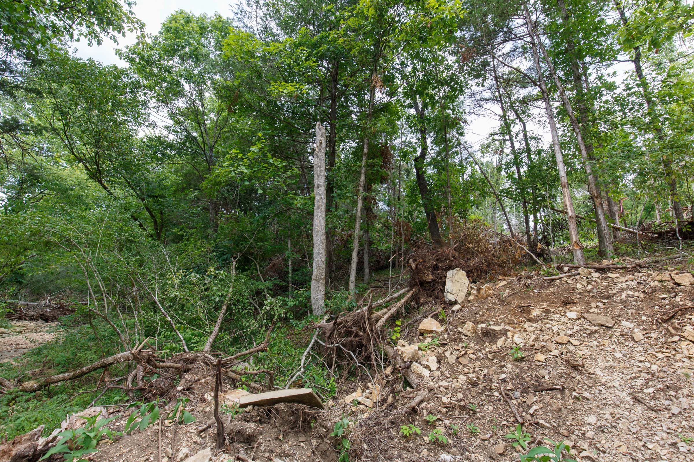 Wildwood Tract 14 photo 9