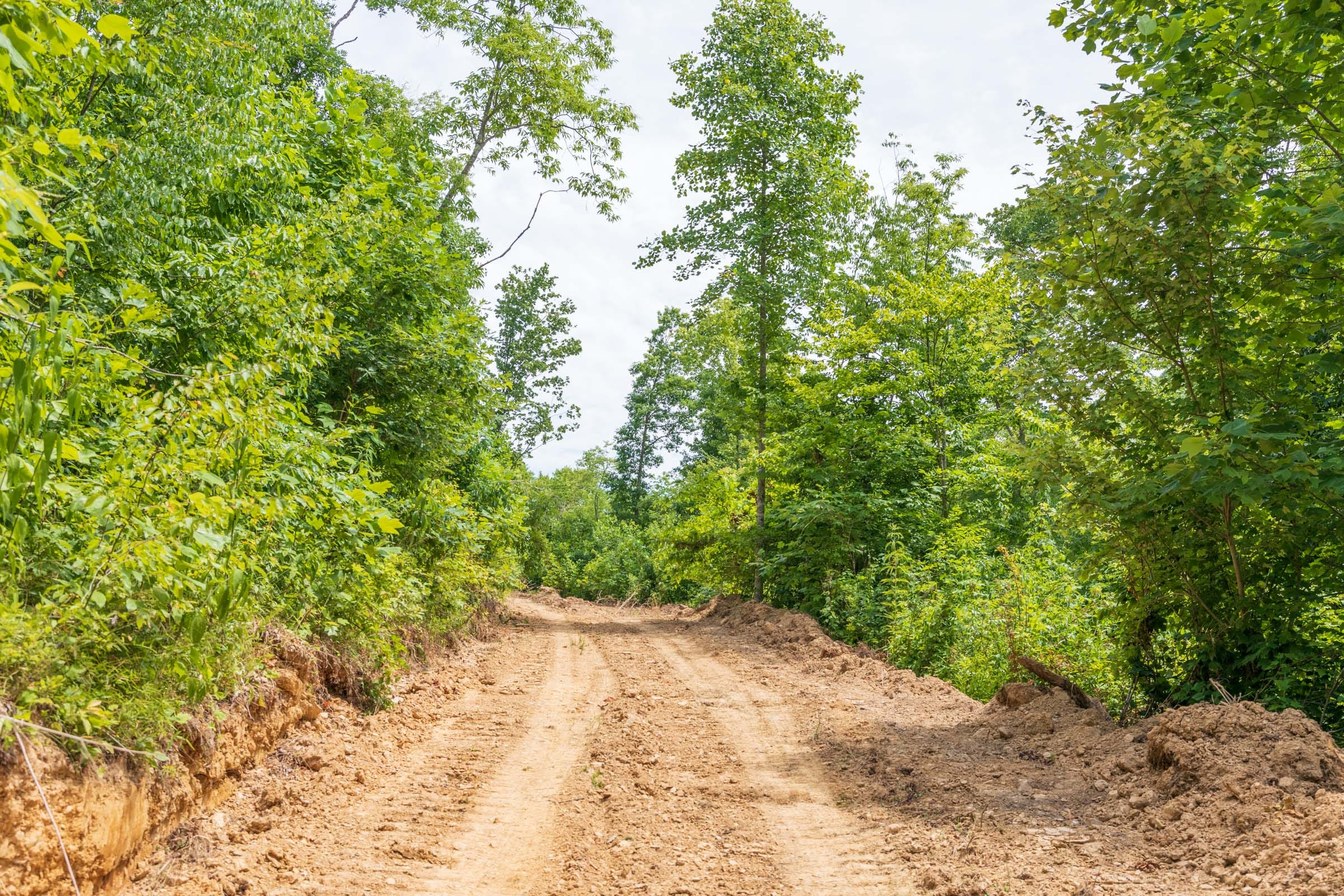 River’s Edge Tract 28 photo 1