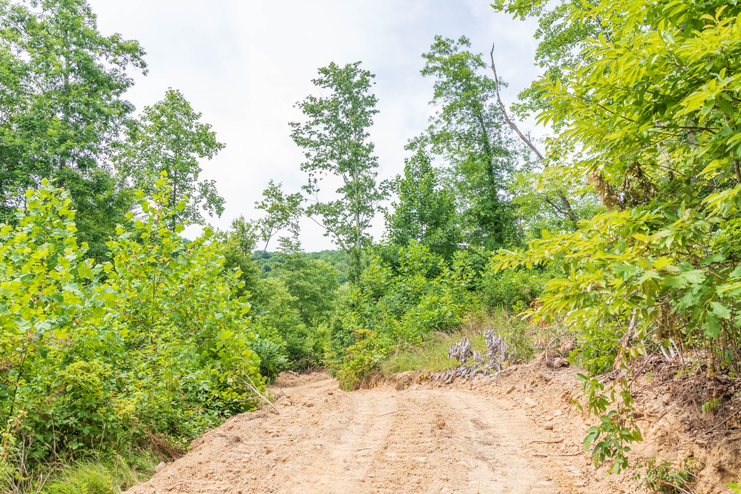 River’s Edge Tract 28 photo 6