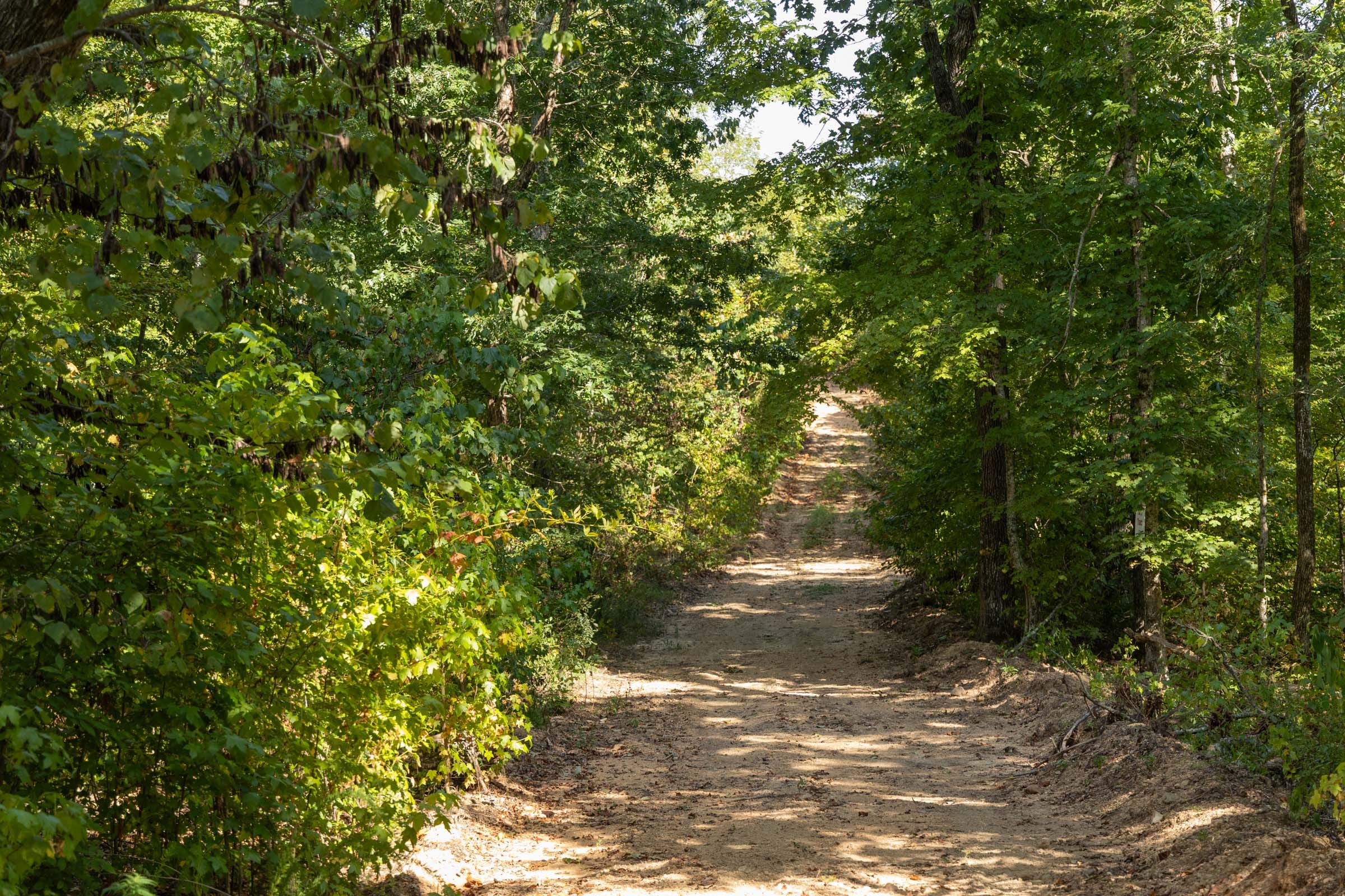 Big White Oak Tract 150 photo 1