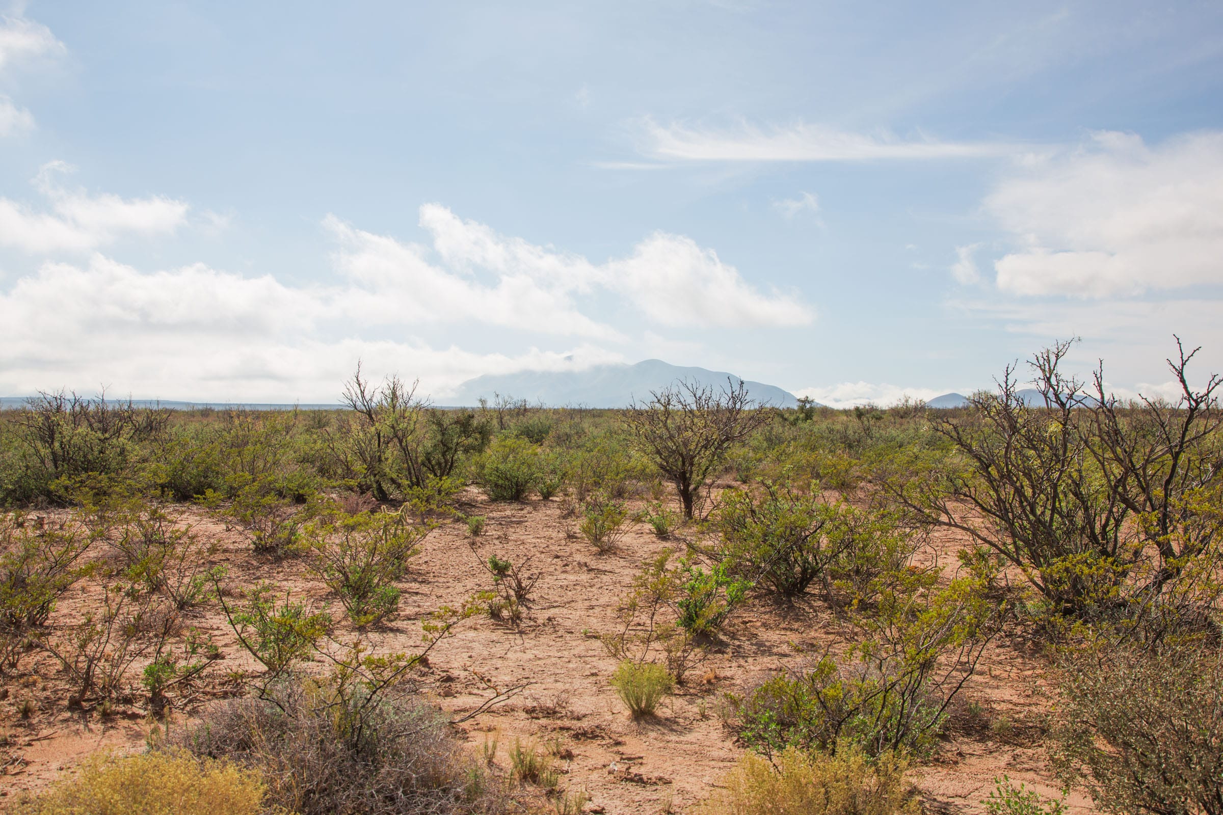 Sunset Ranches Tract 10 photo 2