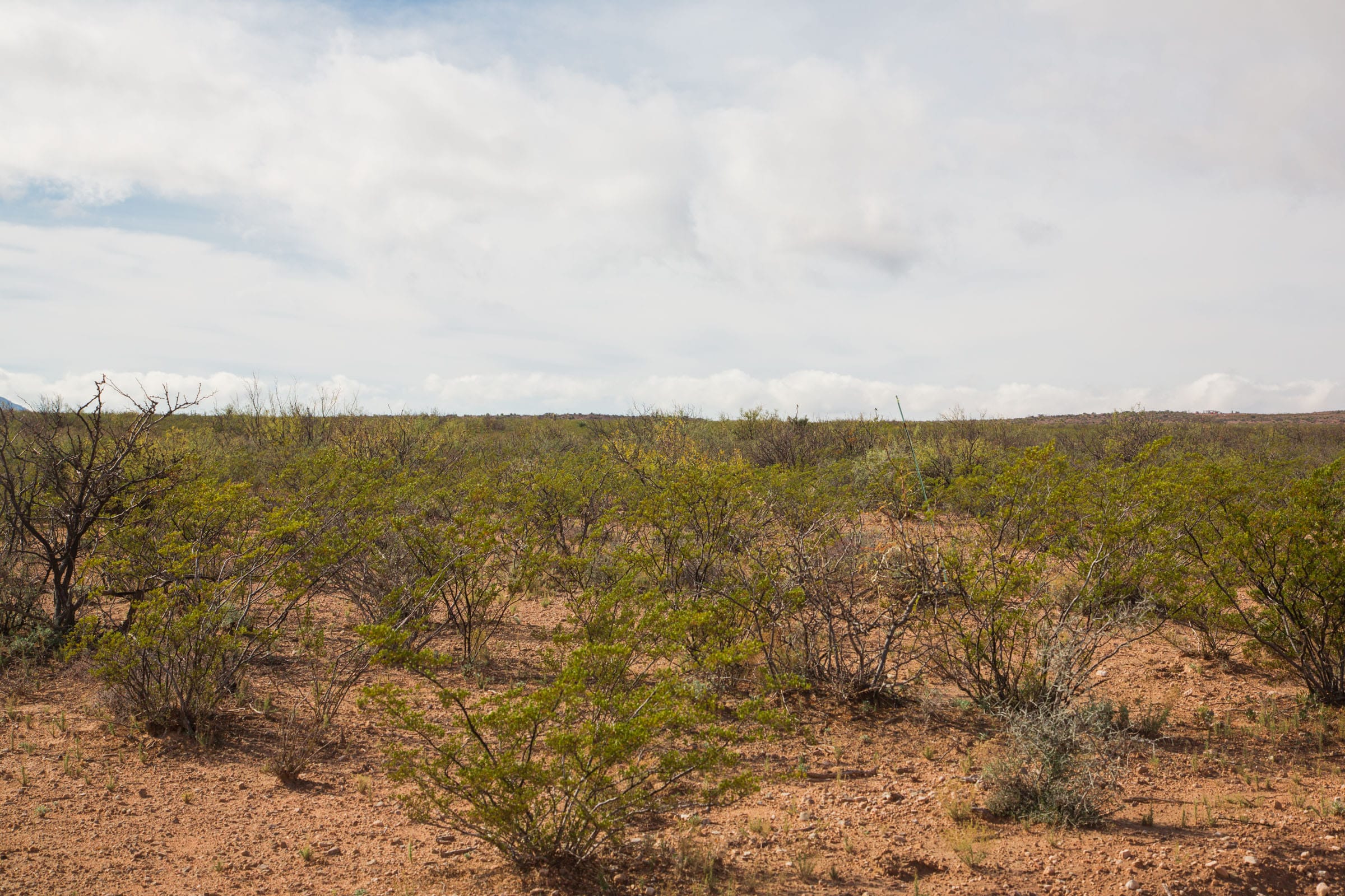 Sunset Ranches Tract 10 photo 4