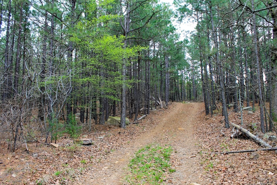 Trophy Ridge Phase III Tract 49 photo 1