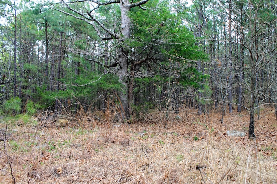 Trophy Ridge Phase III Tract 49 photo 2