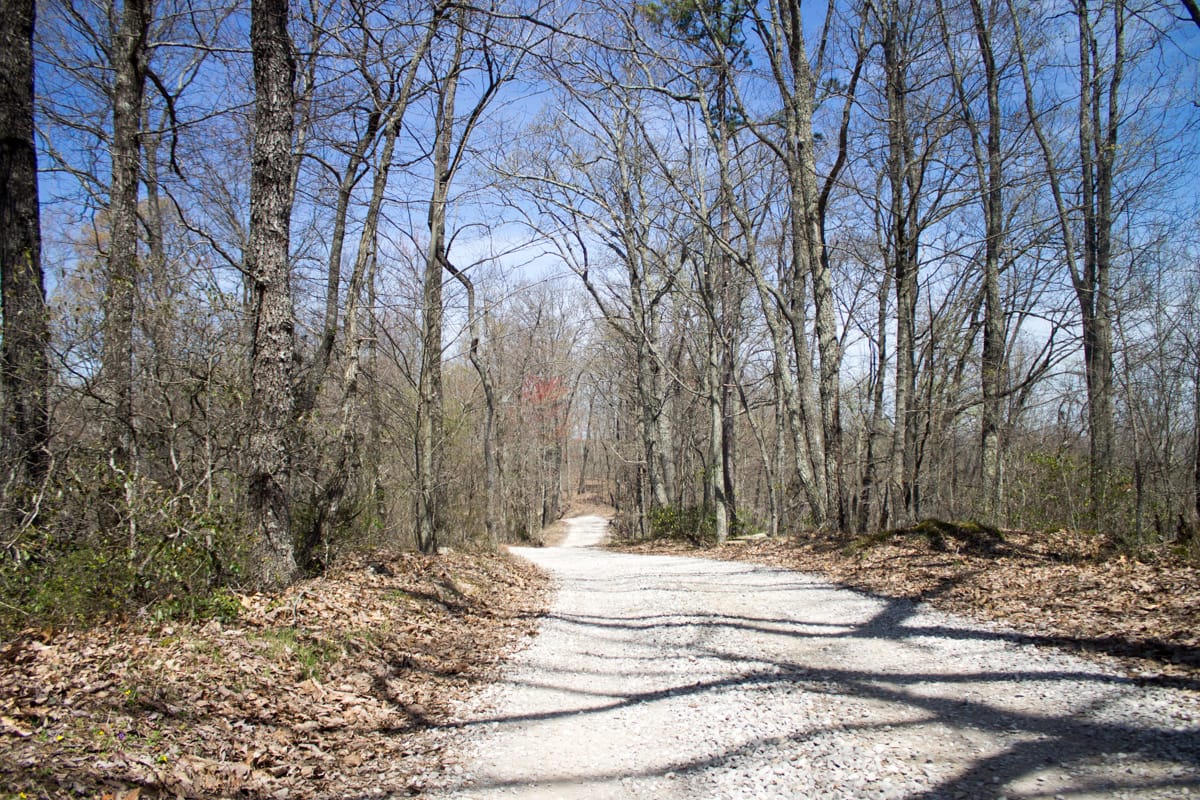 Chestnut Oak Ridge Tract 23 photo 1