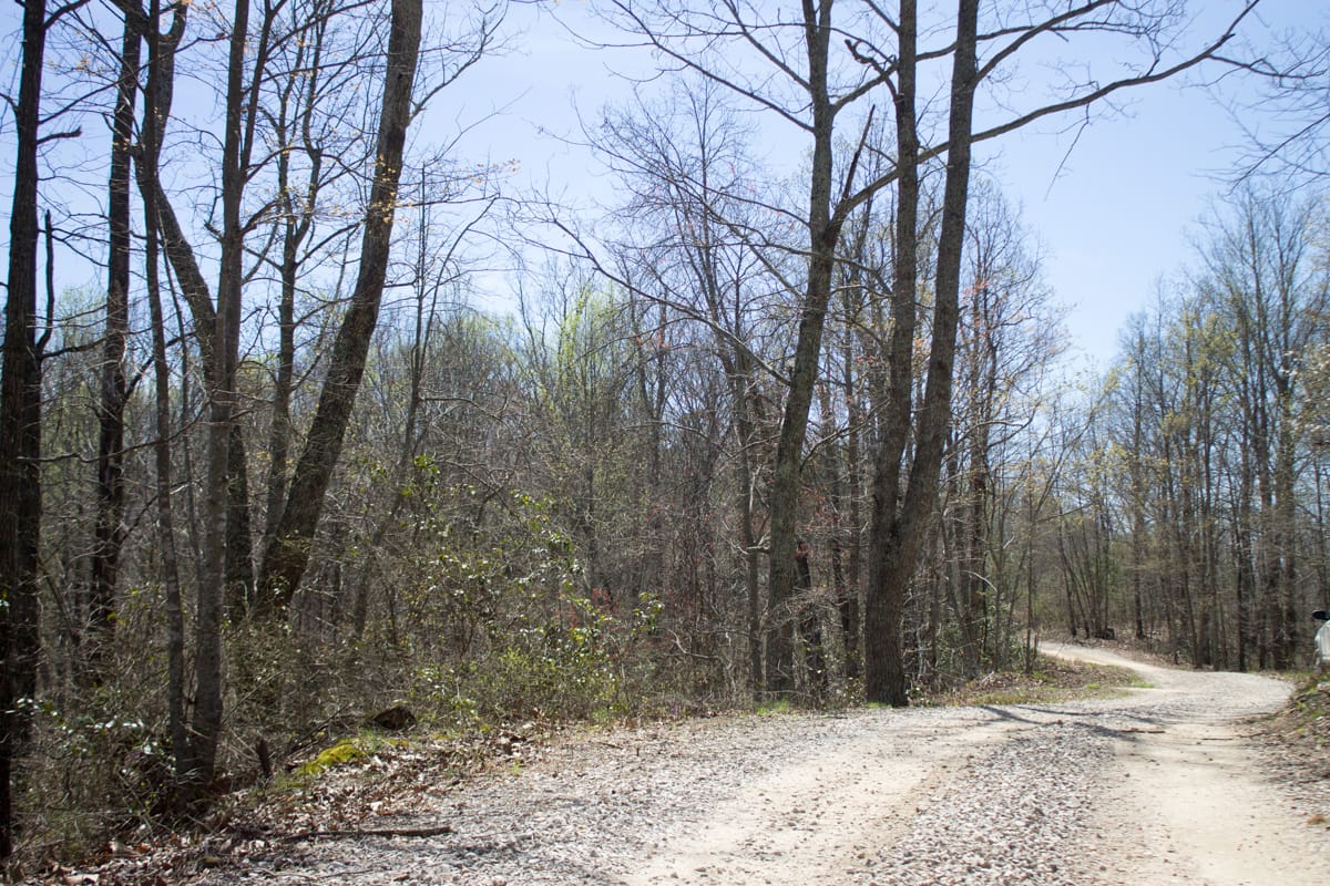 Chestnut Oak Ridge Tract 23 photo 2