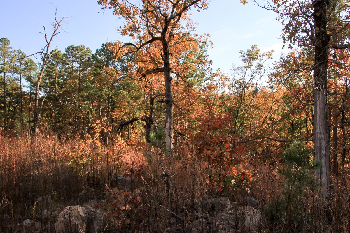 Stone Creek Phase III Tract 19 photo 1