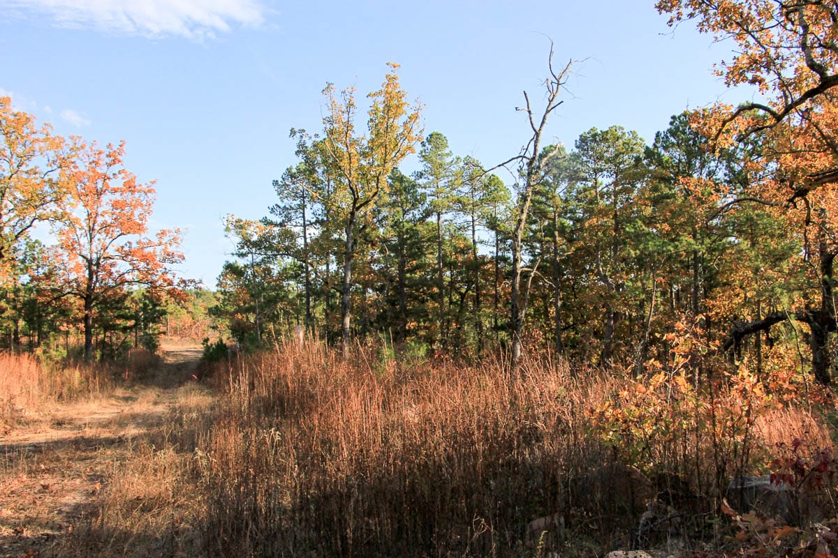 Stone Creek Phase III Tract 19 photo 2