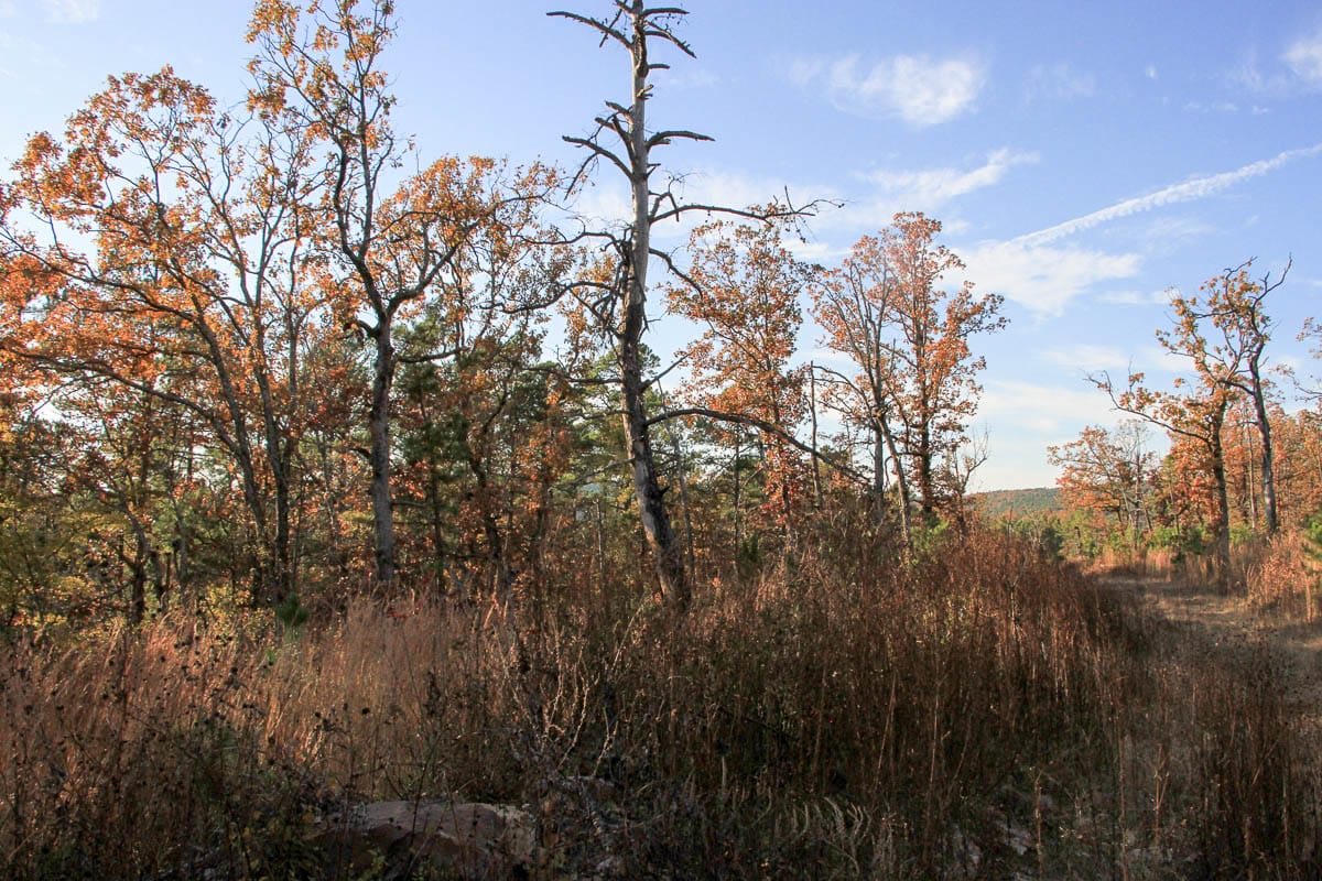 Stone Creek Phase III Tract 19 photo 3