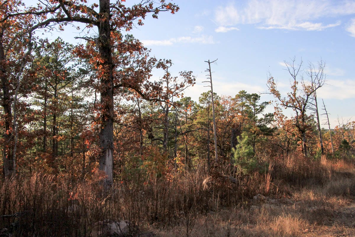 Stone Creek Phase III Tract 19 photo 5