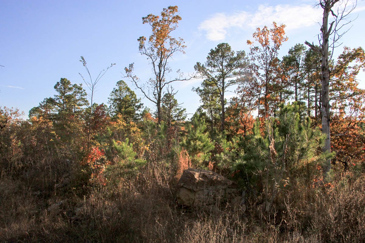 Stone Creek Phase III Tract 19 photo 8