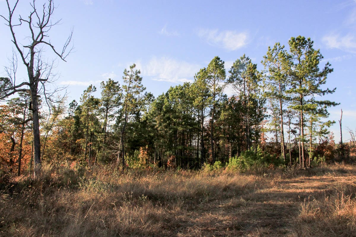 Stone Creek Phase III Tract 19 photo 9