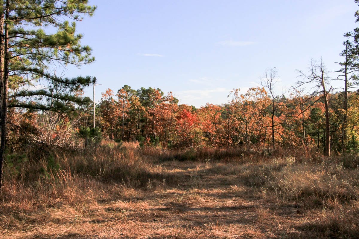 Stone Creek Phase III Tract 19 photo 10