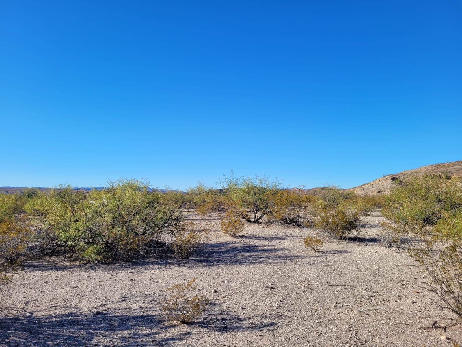 Vista Linda Canyon photo 3