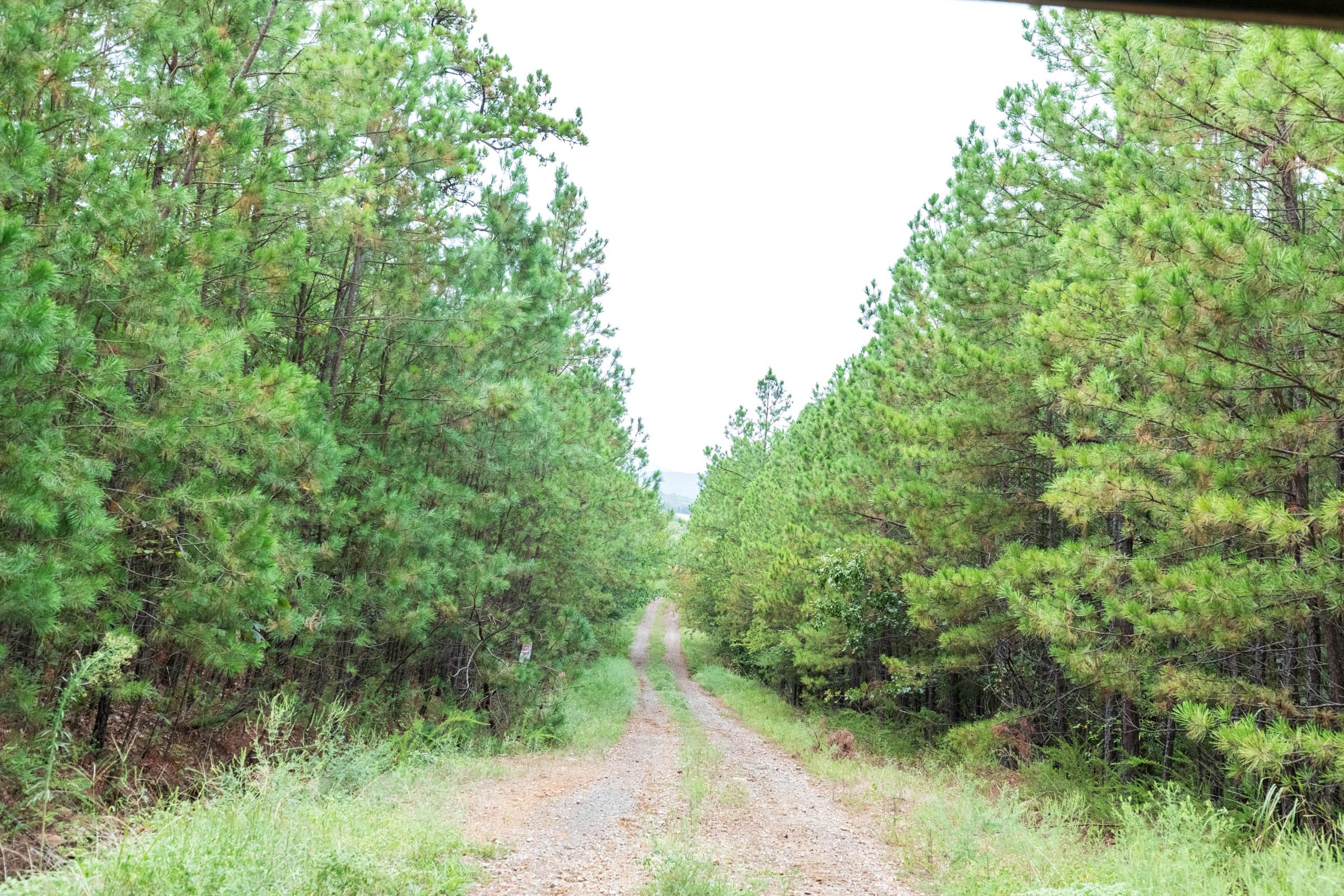 Stone Bridge Phase V Tract 330 photo 1