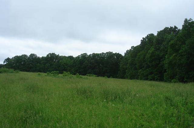 Whispering Oaks Tract 16 photo 1