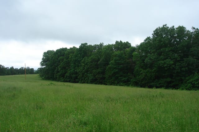 Whispering Oaks Tract 16 photo 3