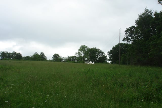 Whispering Oaks Tract 16 photo 5