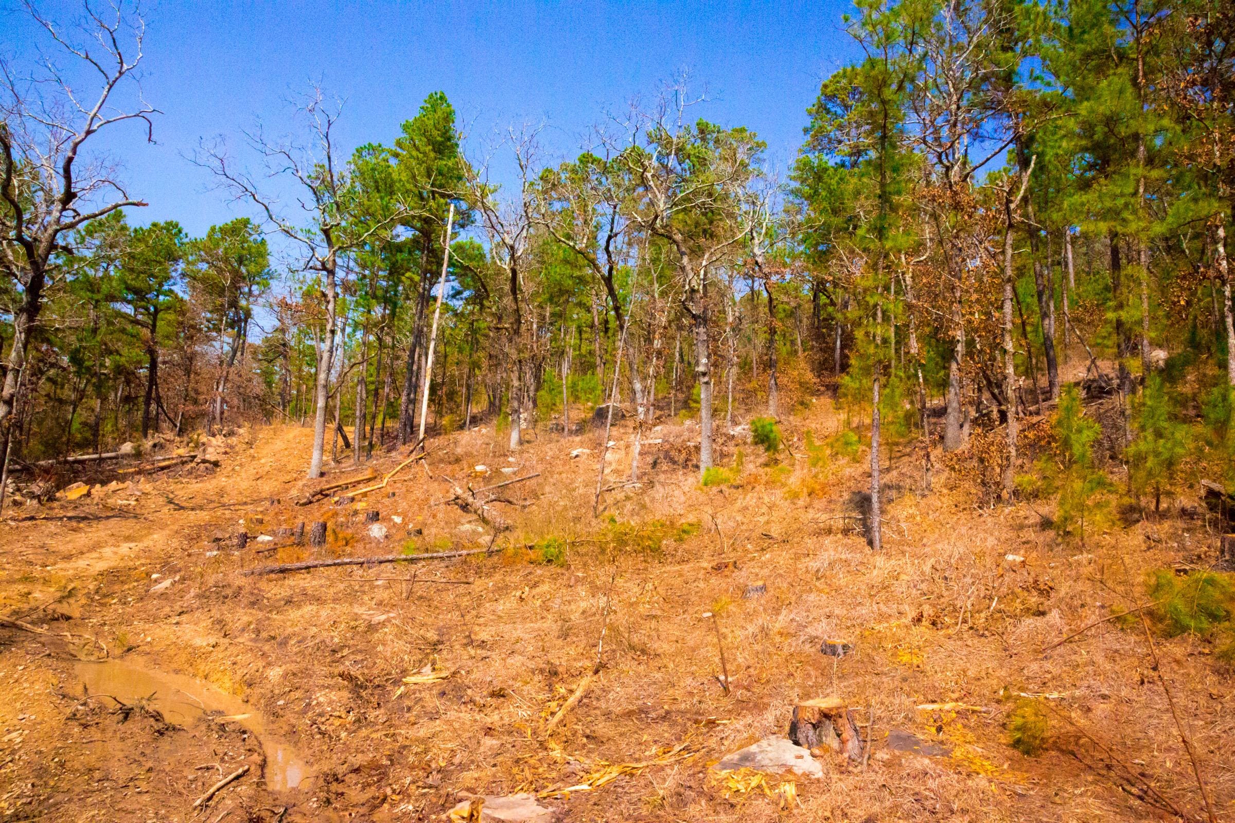 Stone Creek Phase II Tract 123 photo 3