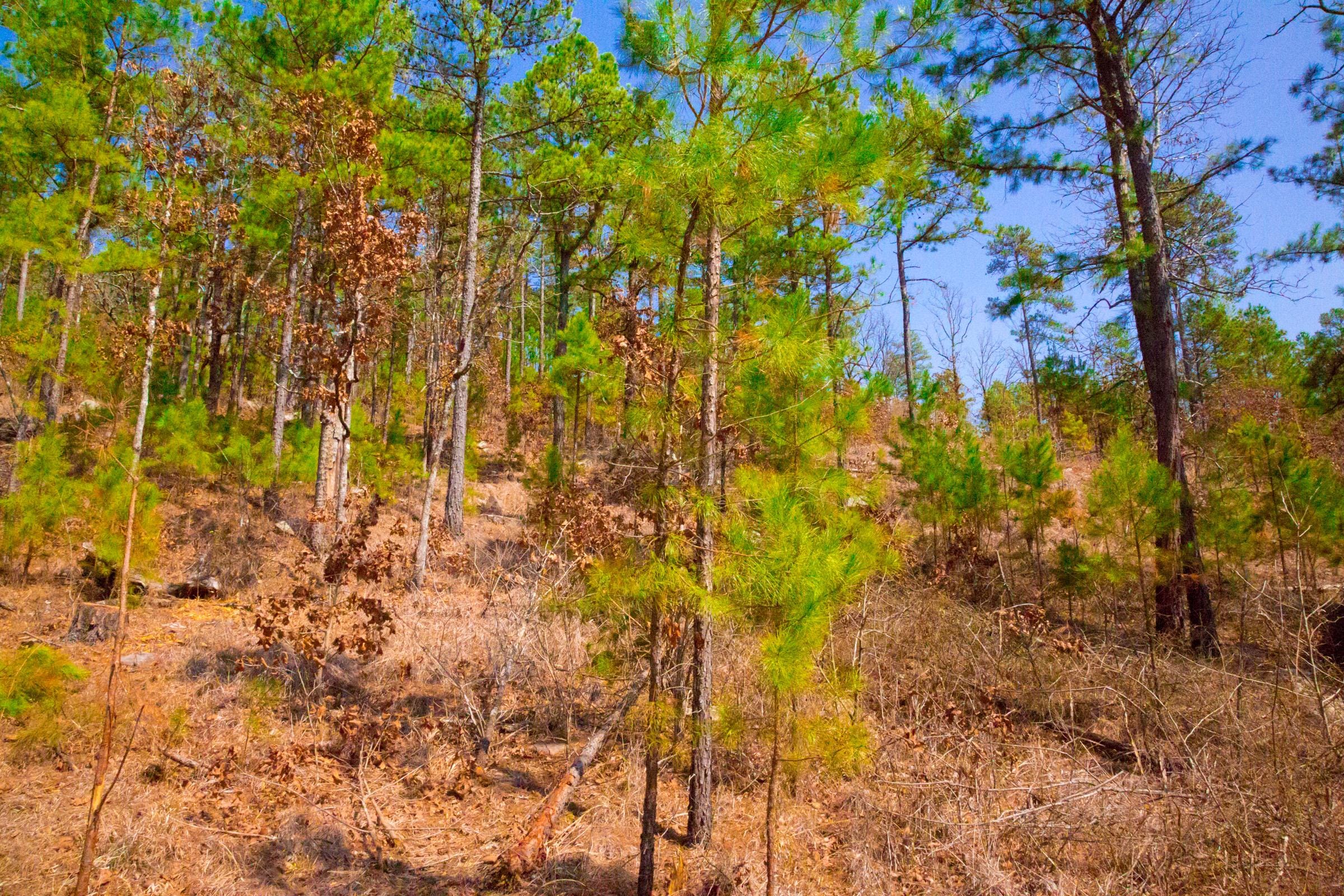 Stone Creek Phase II Tract 123 photo 4