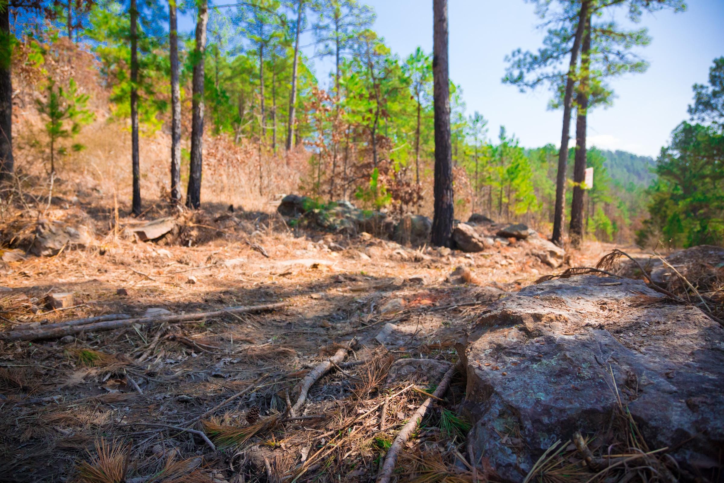 Stone Creek Phase II Tract 123 photo 6