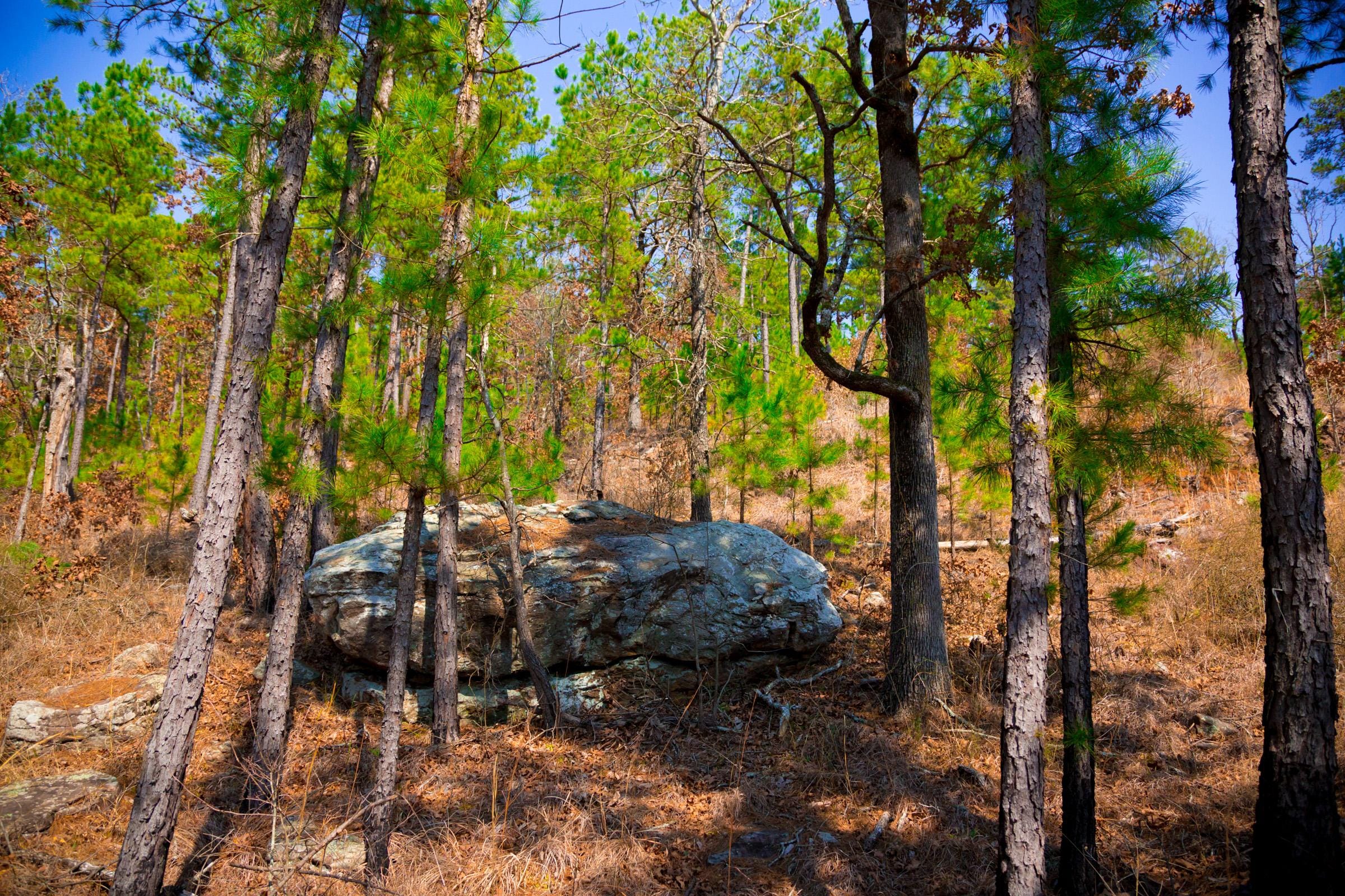Stone Creek Phase II Tract 123 photo 7
