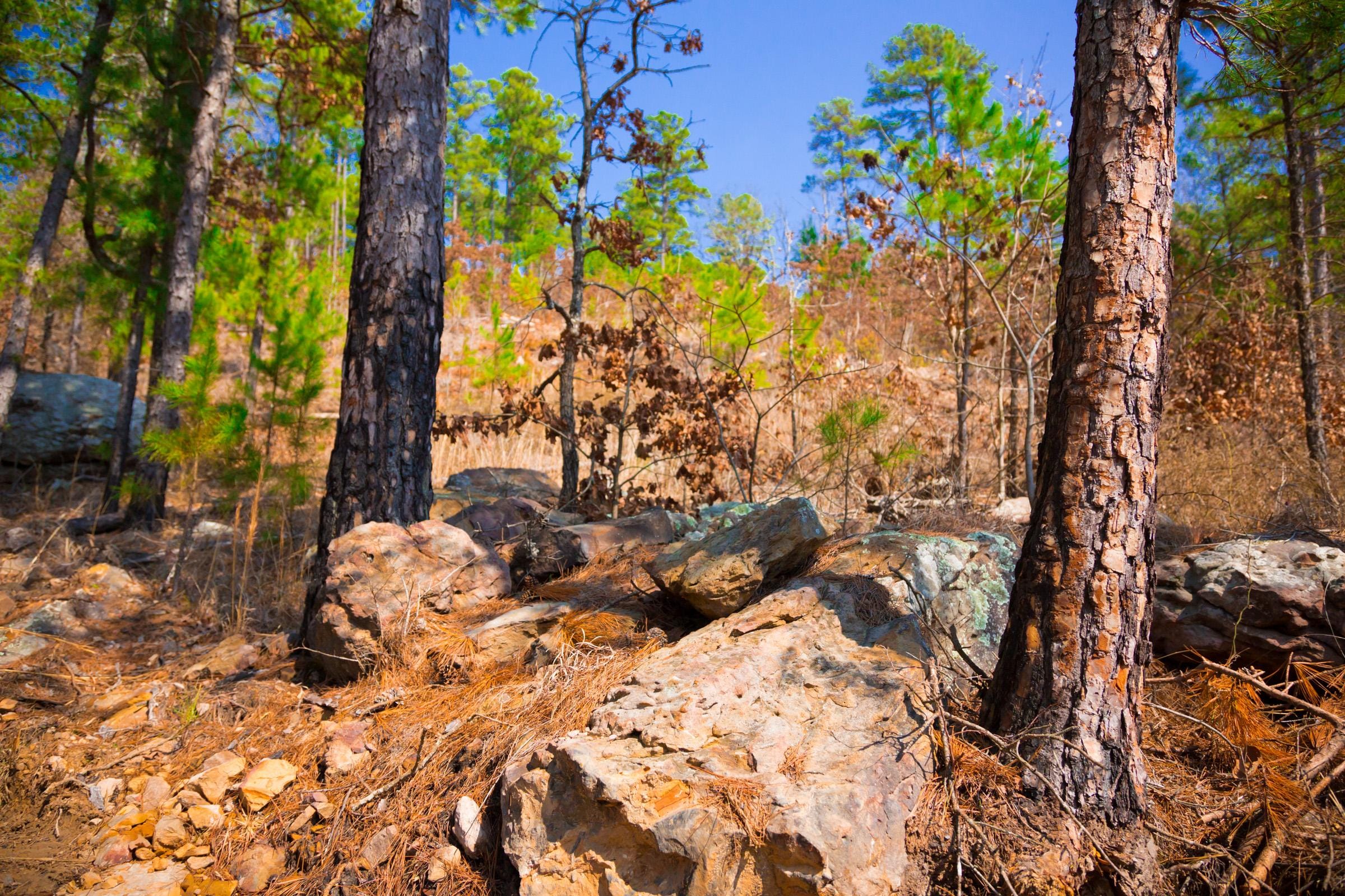 Stone Creek Phase II Tract 123 photo 8