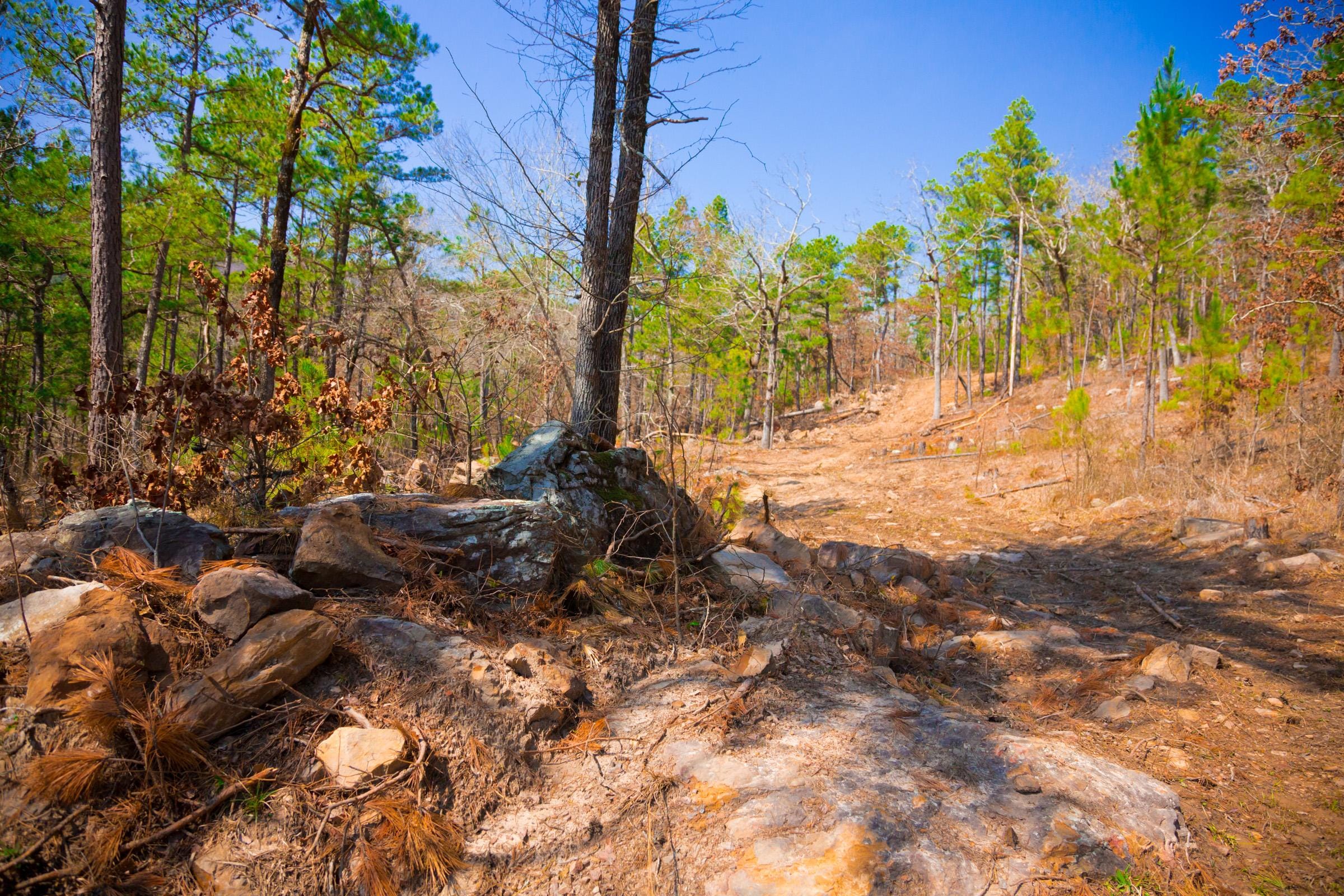 Stone Creek Phase II Tract 123 photo 9
