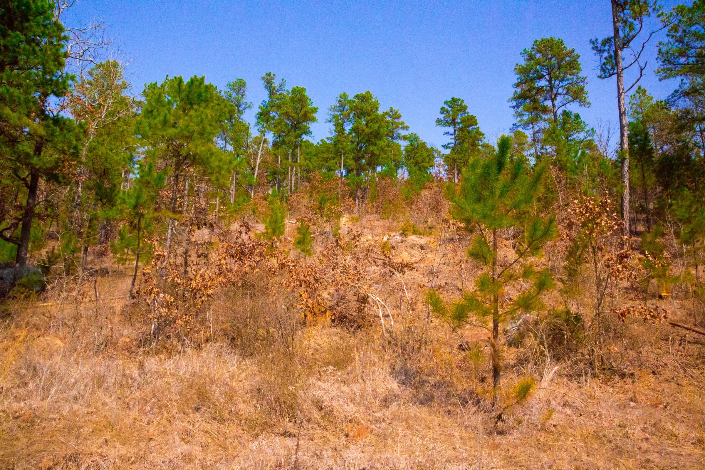 Stone Creek Phase II Tract 123 photo 10
