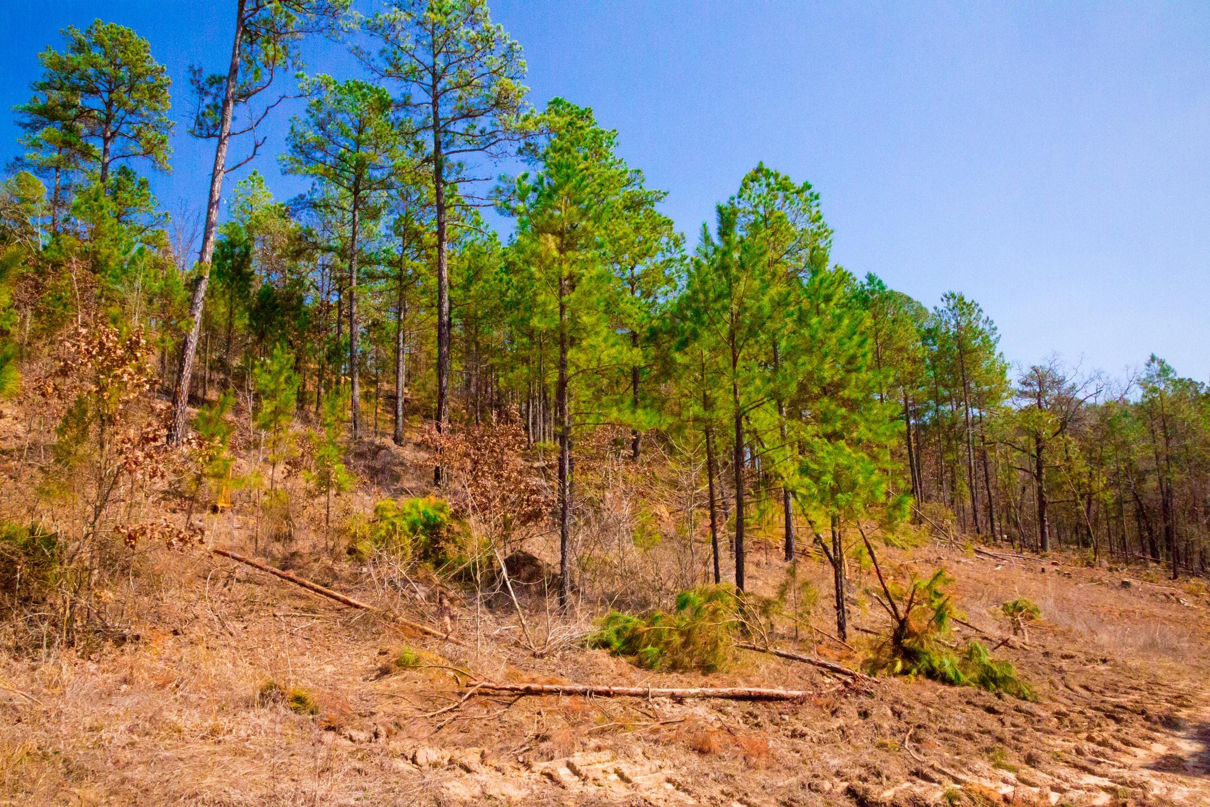 Stone Creek Phase II Tract 123 photo 11