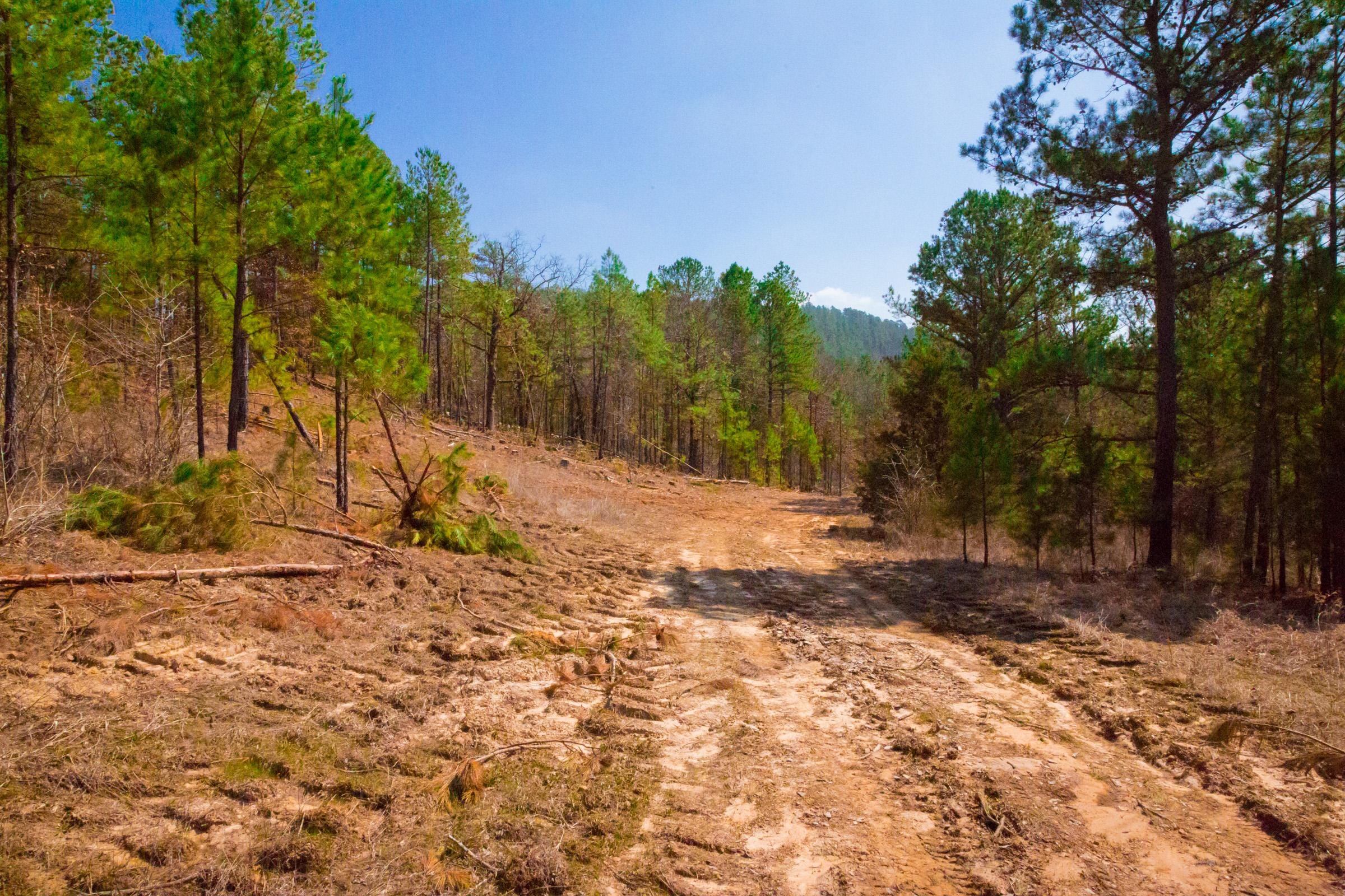 Stone Creek Phase II Tract 123 photo 2