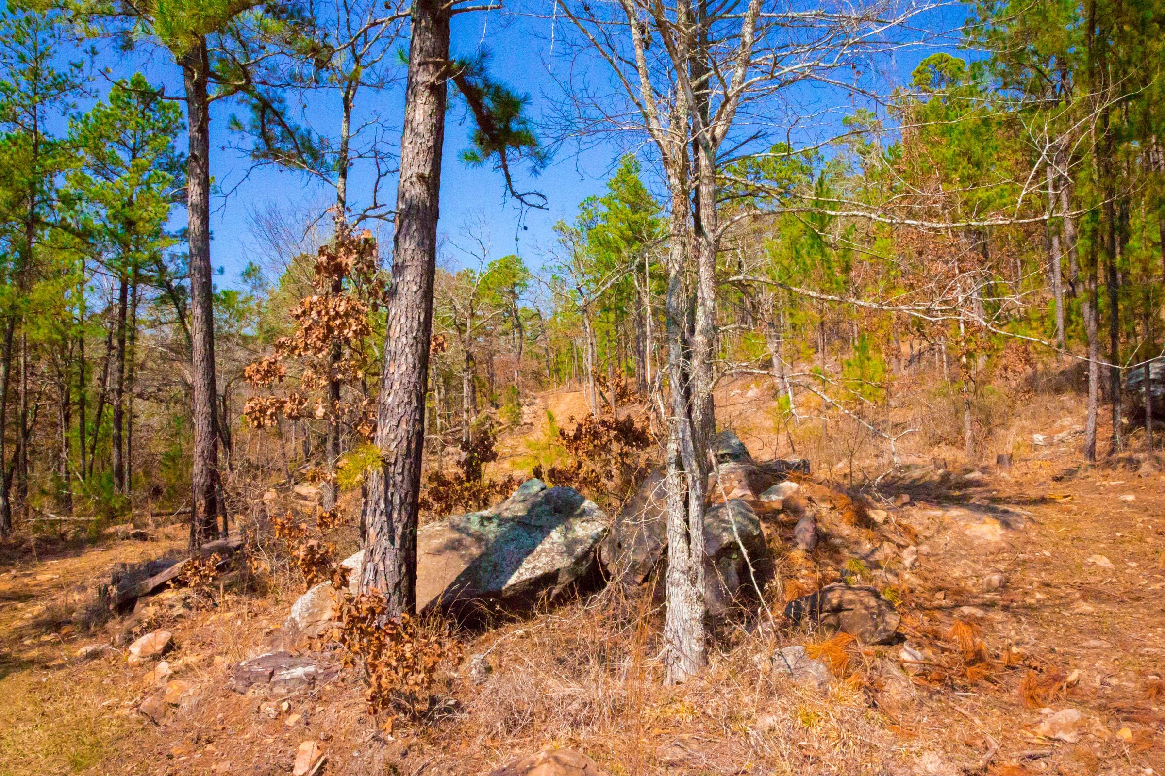 Stone Creek Phase II Tract 123 photo 12