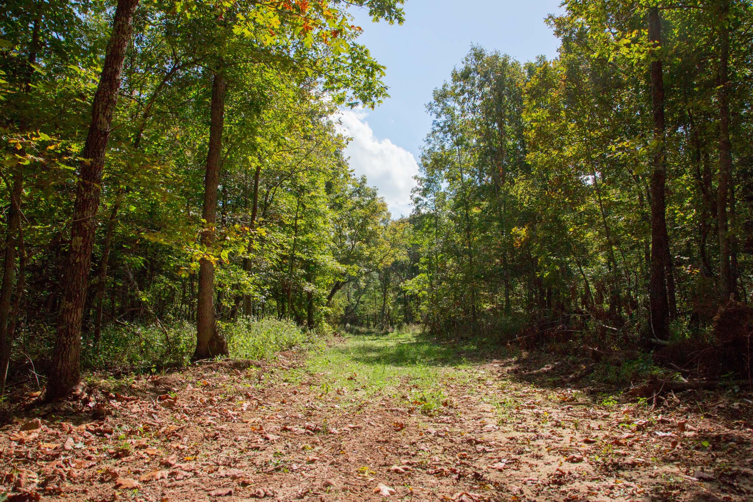 Wagon Wheel Ranch Tract 38 photo 2