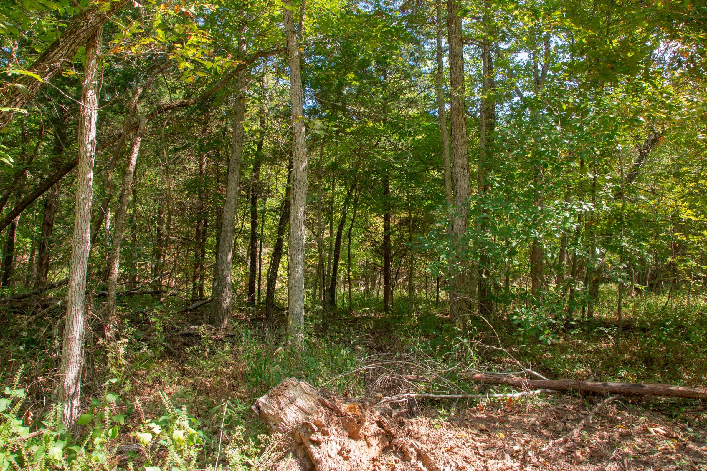 Wagon Wheel Ranch Tract 38 photo 4