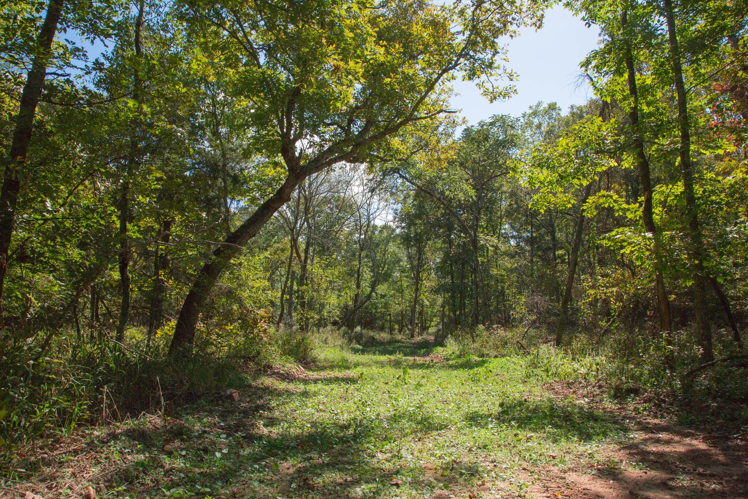 Wagon Wheel Ranch Tract 38 photo 1