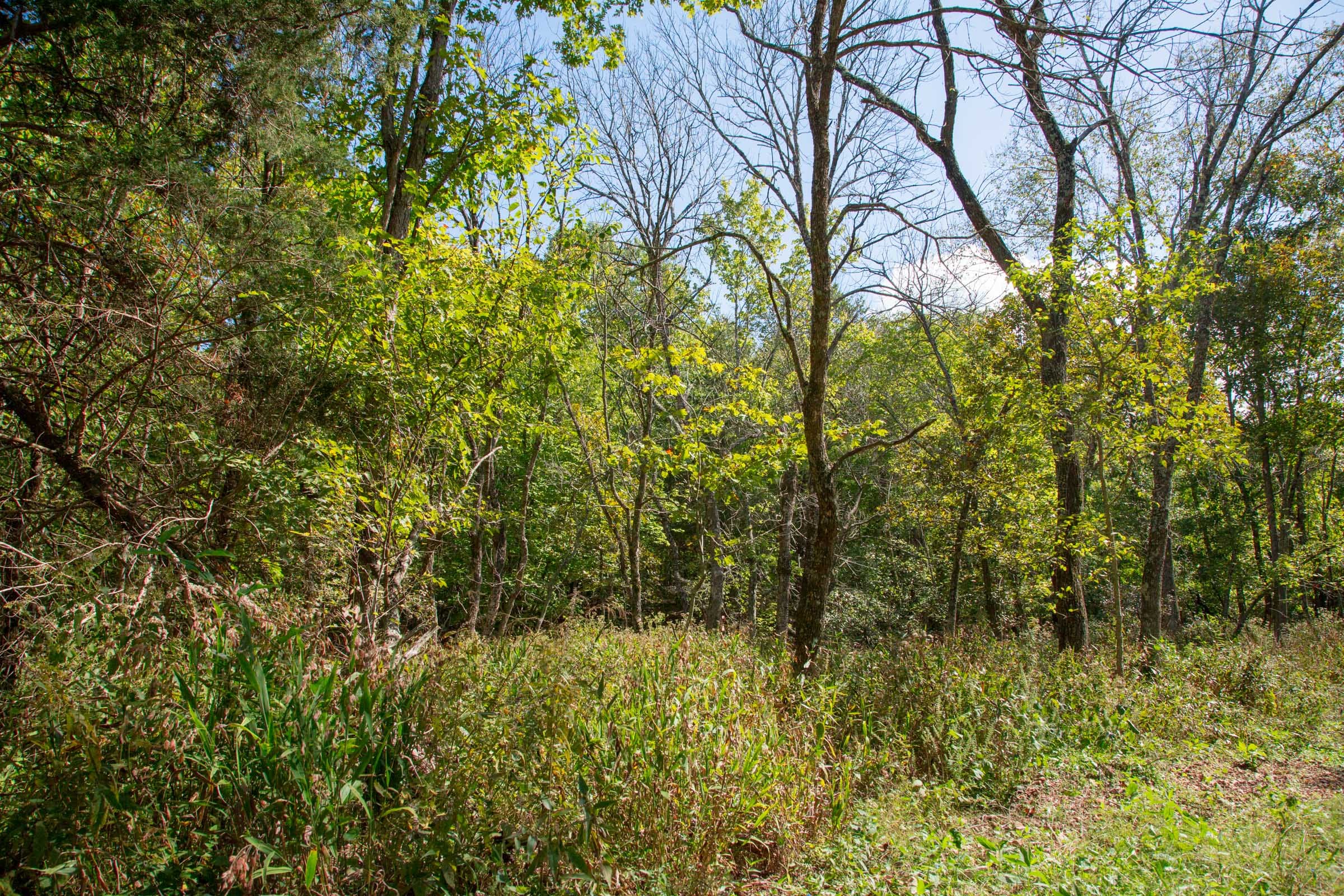 Wagon Wheel Ranch Tract 38 photo 6
