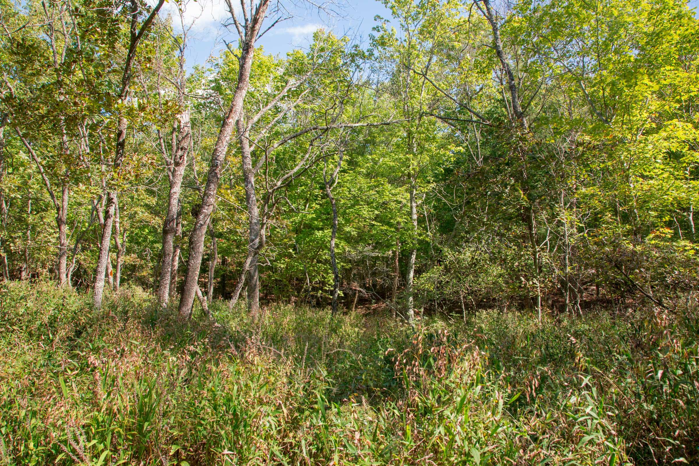 Wagon Wheel Ranch Tract 38 photo 7