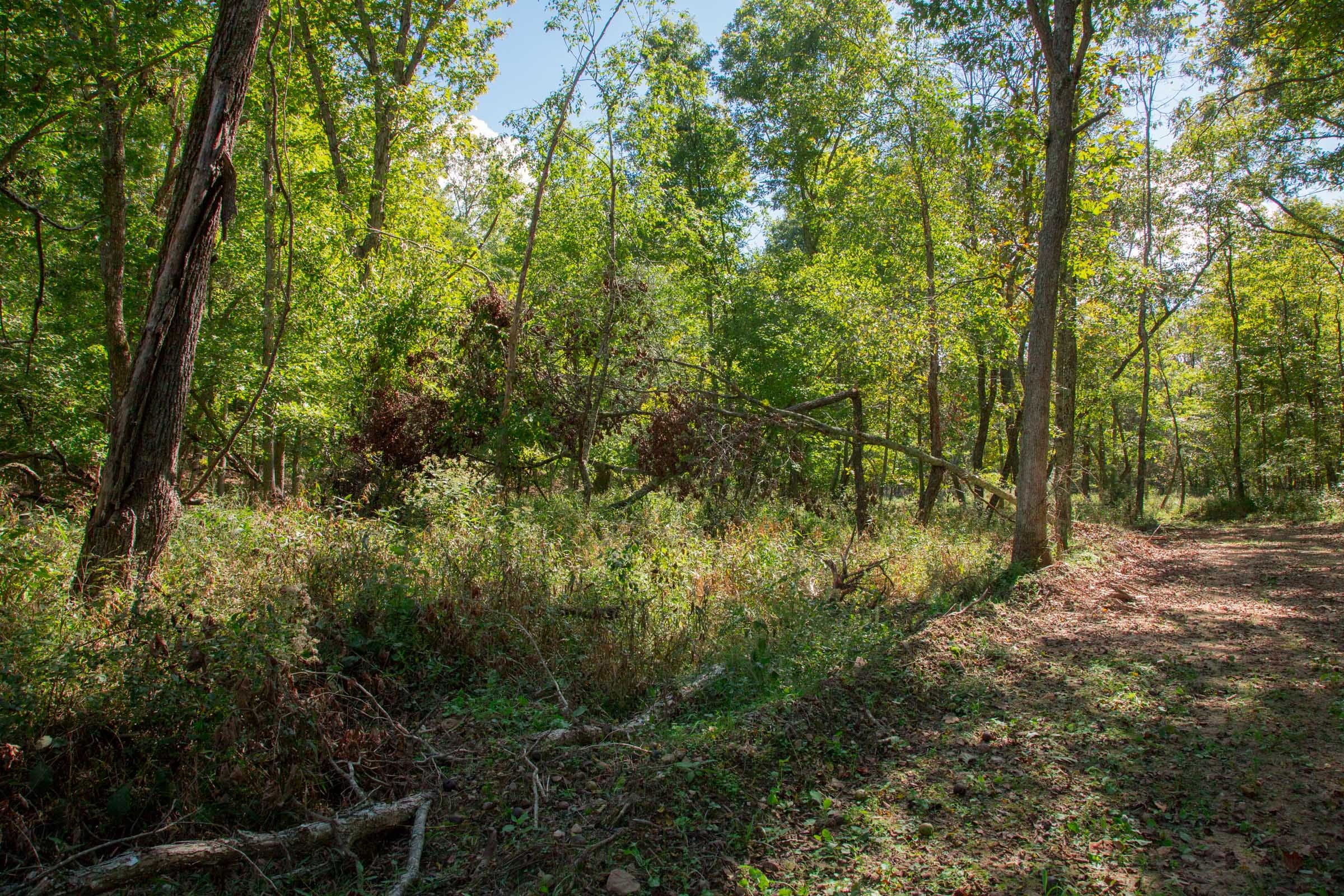 Wagon Wheel Ranch Tract 38 photo 8