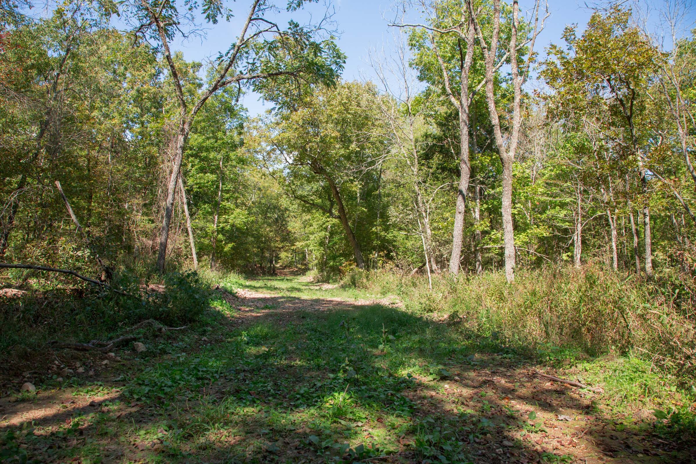Wagon Wheel Ranch Tract 38 photo 9