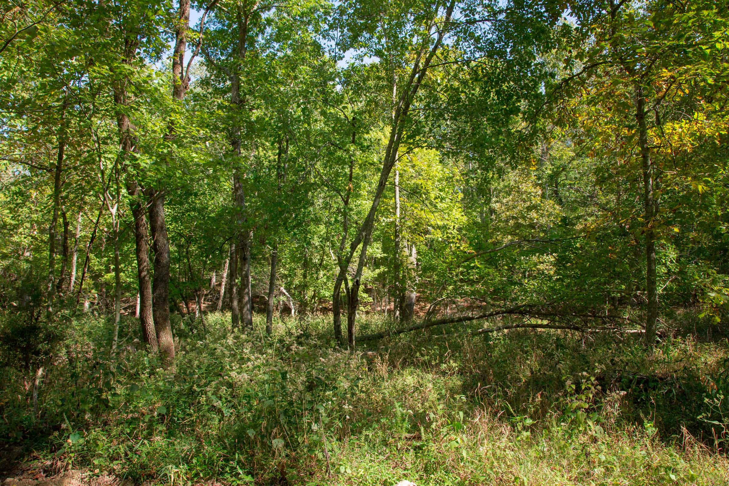 Wagon Wheel Ranch Tract 38 photo 11