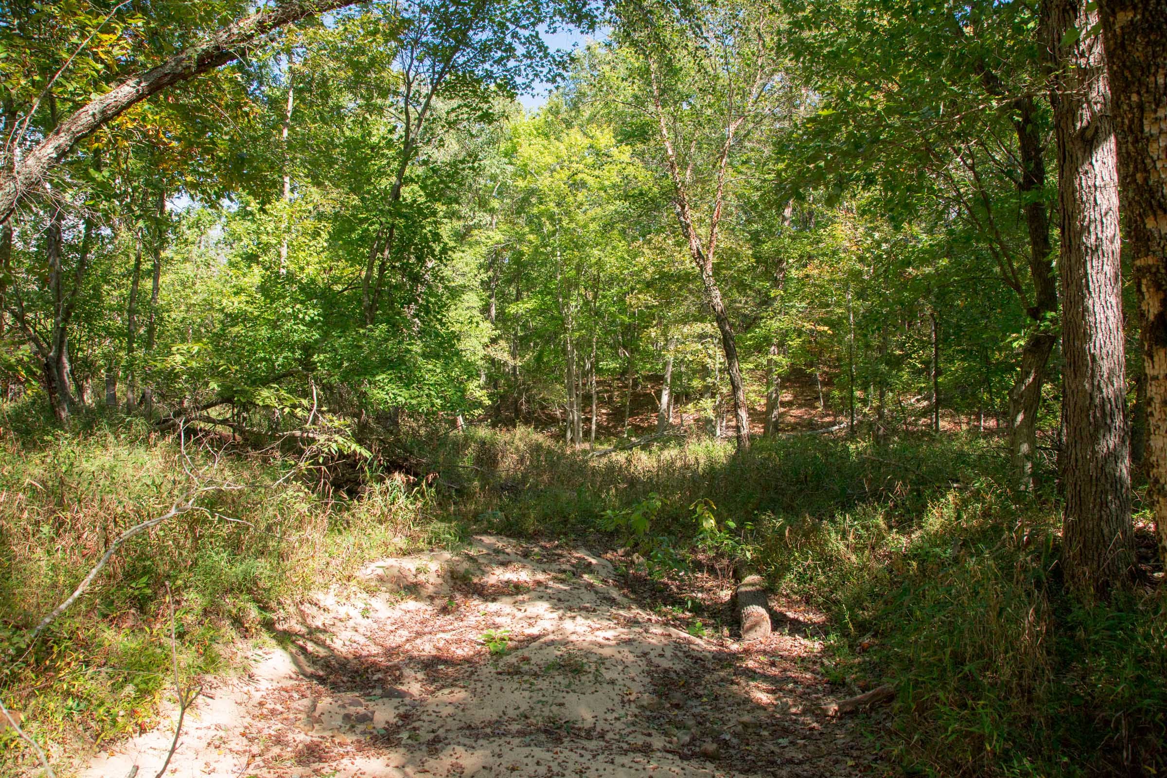 Wagon Wheel Ranch Tract 38 photo 10