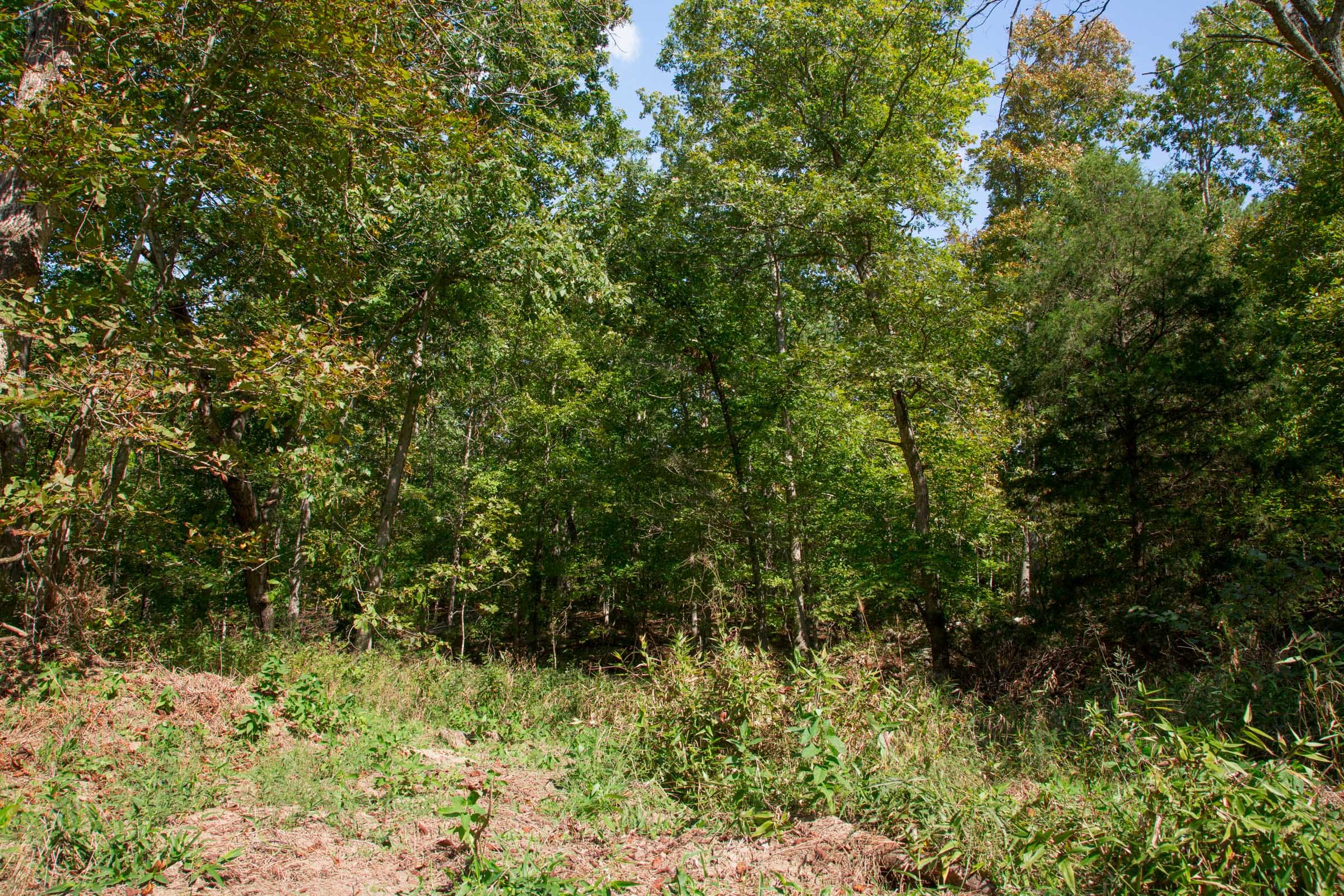 Wagon Wheel Ranch Tract 38 photo 12