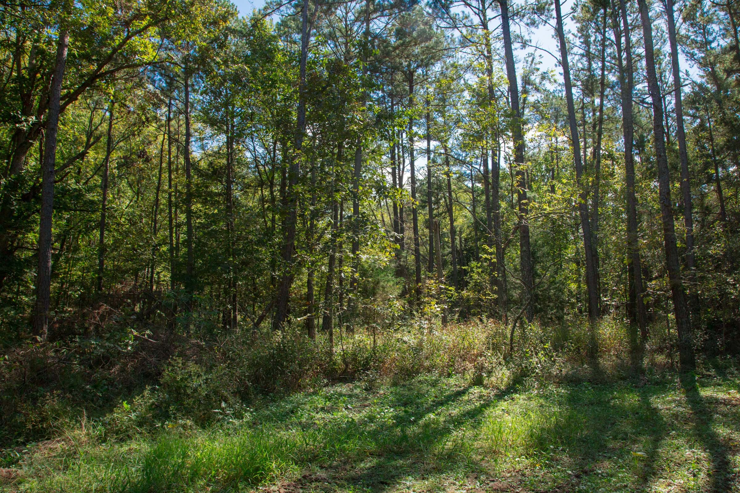 Wagon Wheel Ranch Tract 38 photo 13