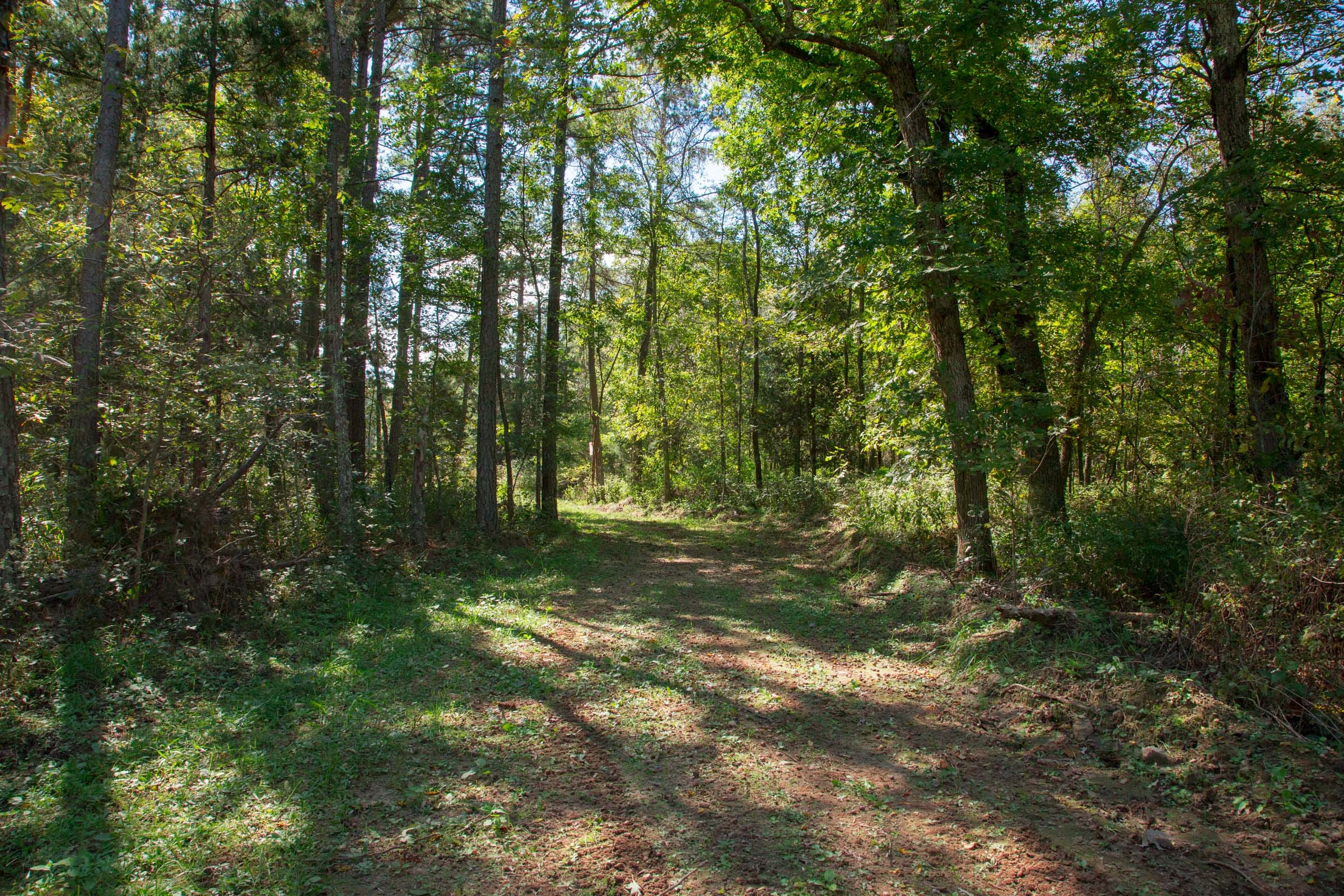 Wagon Wheel Ranch Tract 38 photo 14