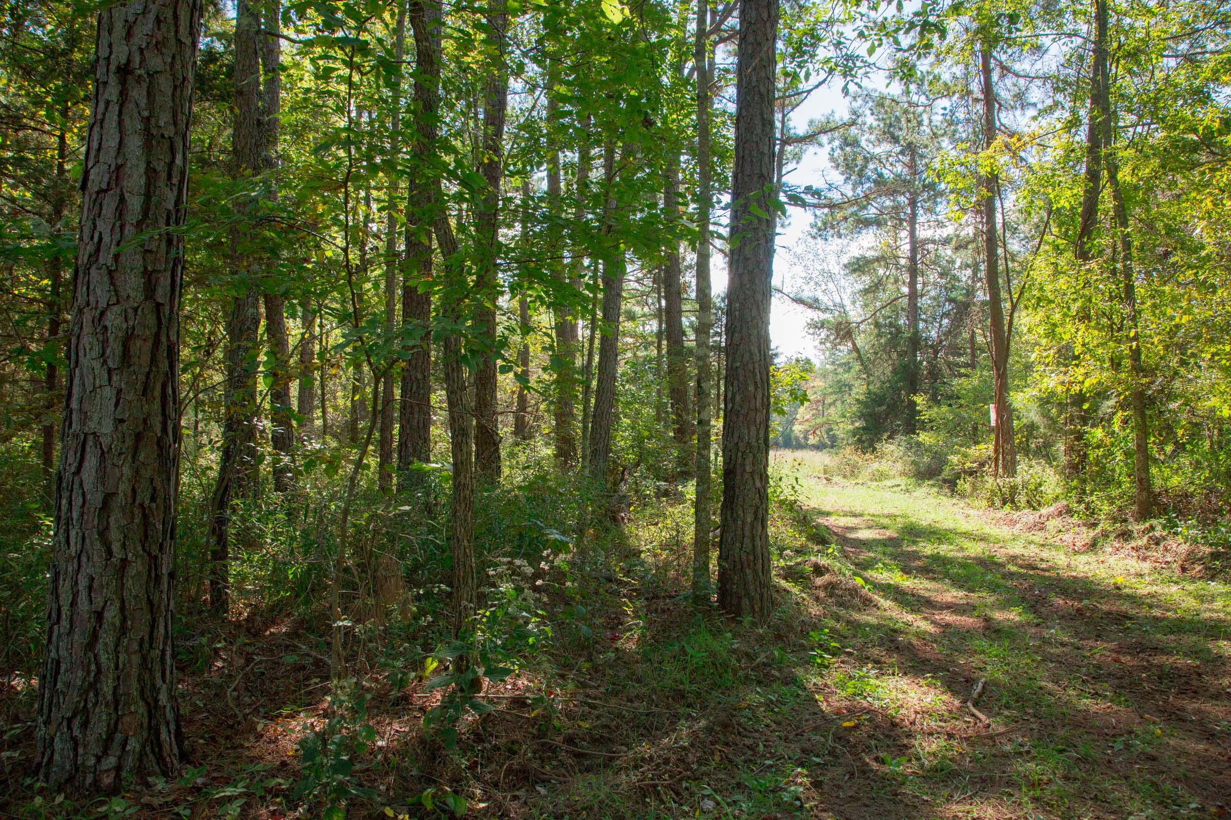 Wagon Wheel Ranch Tract 38 photo 17