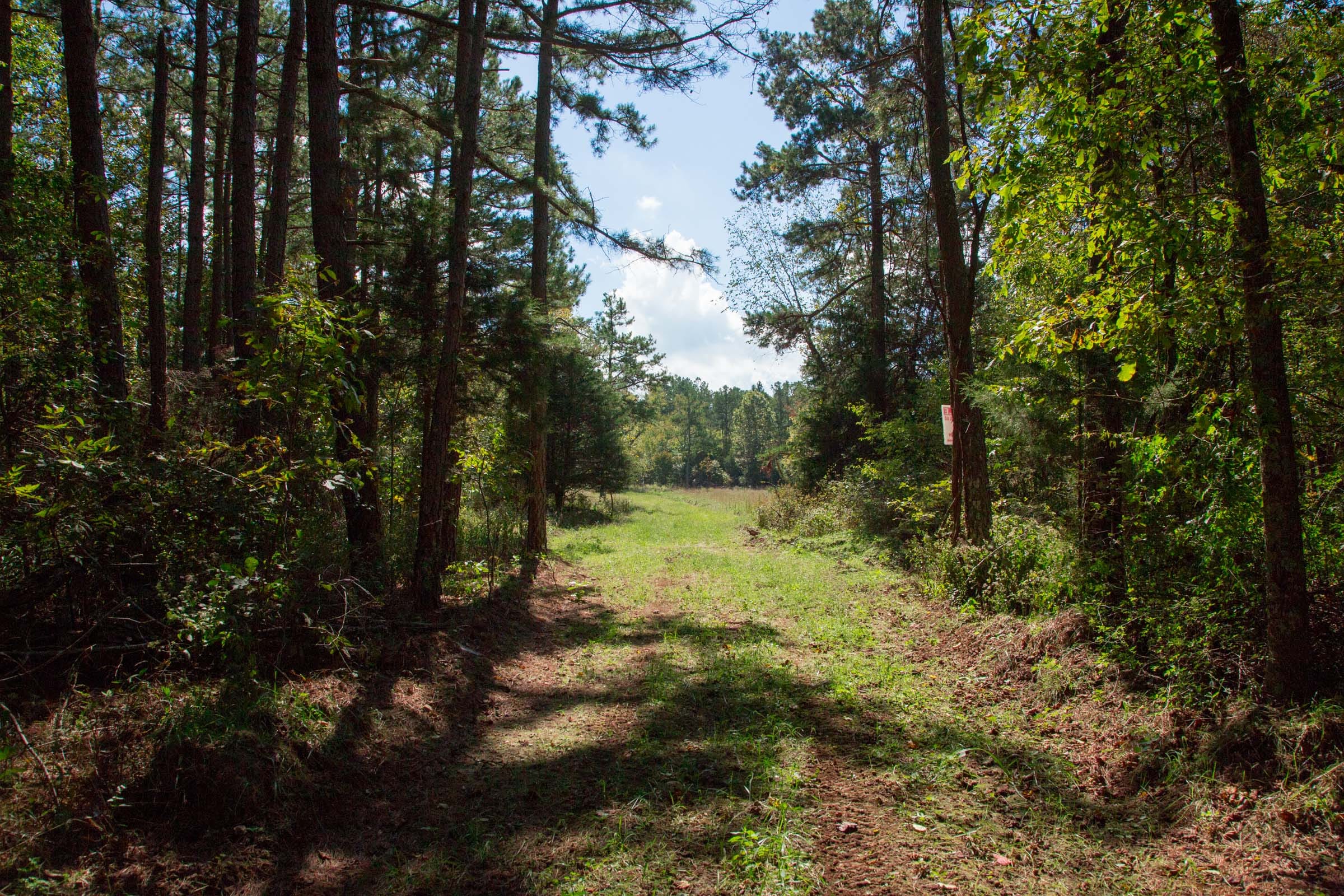 Wagon Wheel Ranch Tract 38 photo 20