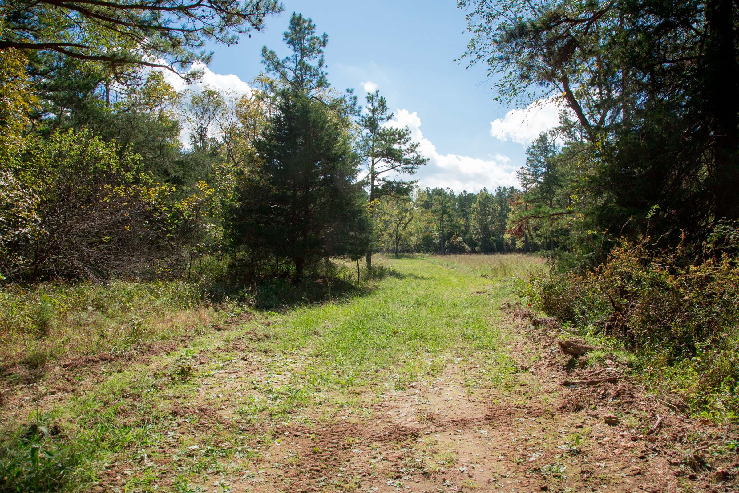 Wagon Wheel Ranch Tract 38 photo 15