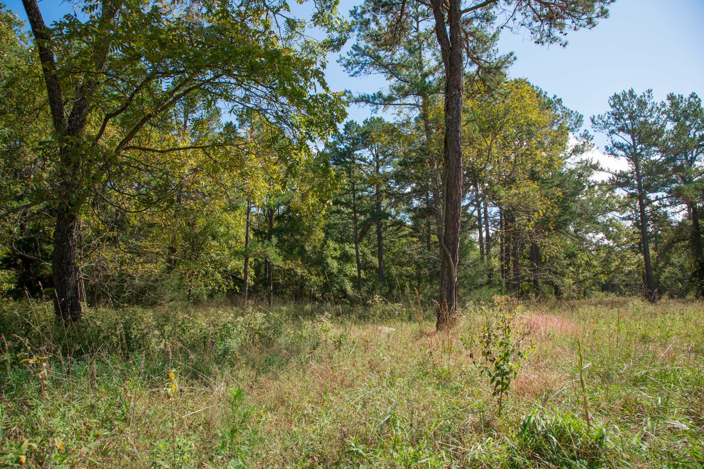 Wagon Wheel Ranch Tract 38 photo 18