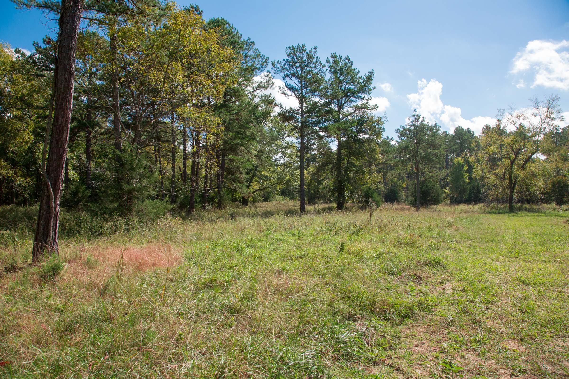 Wagon Wheel Ranch Tract 38 photo 19